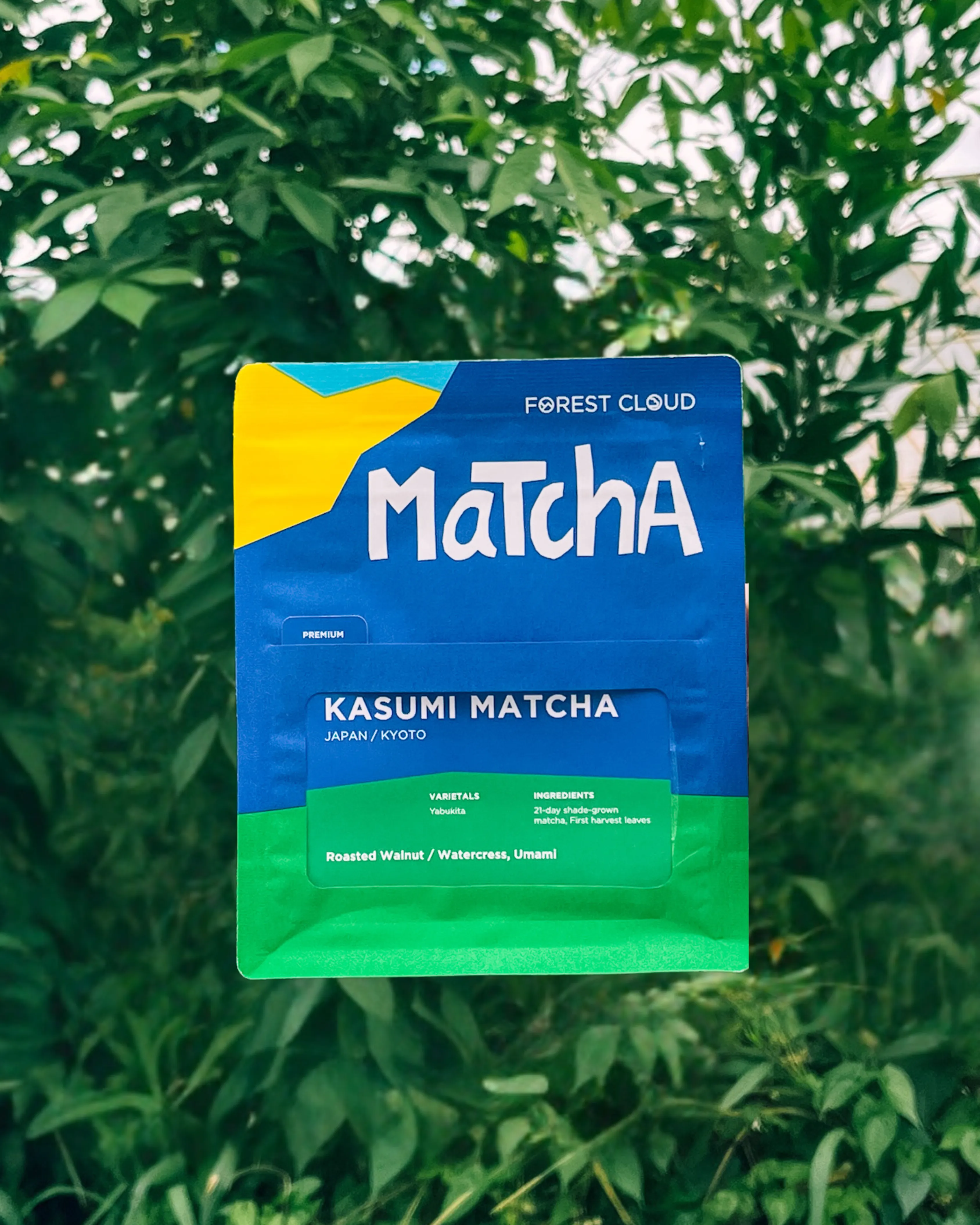 Kasumi Matcha